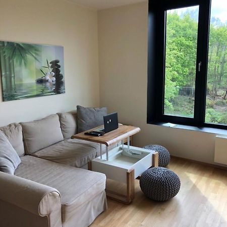 Triplex Residence, Lux-Appartment In The Central Part Karlovy Vary Luaran gambar